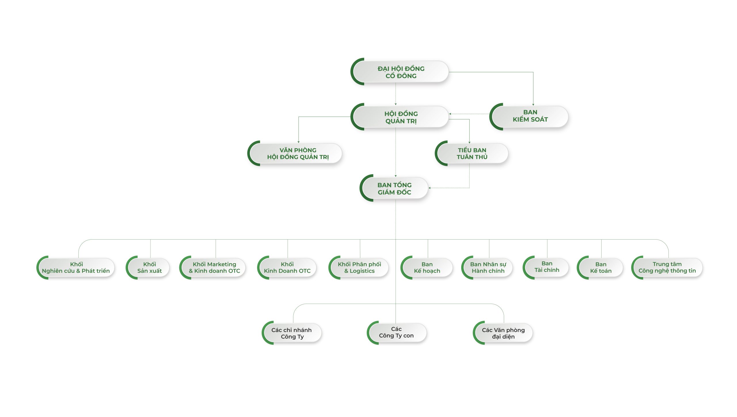 Cơ cấu tổ chức